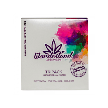 KIT INDOOR COMPLETO QUANTUM 240W