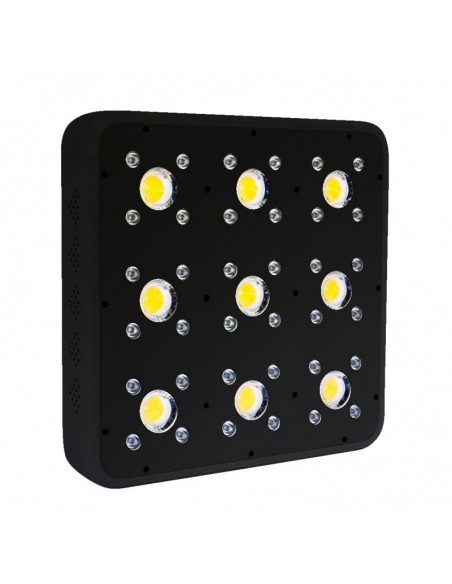 KIT LED INDOOR INTERMEDIO APOLLO PRO 100