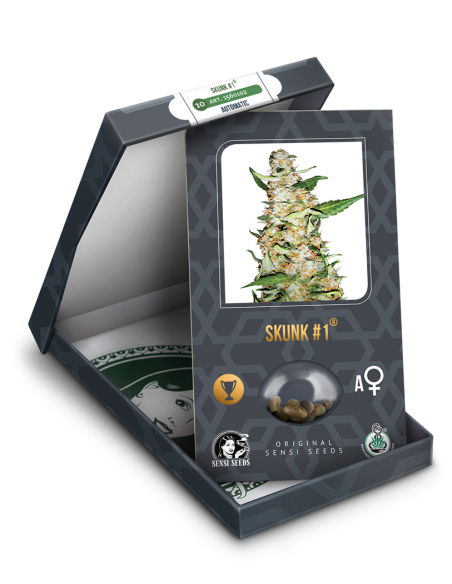 Skunk #1 Semillas Autoflorecientes – Sensi Seeds
