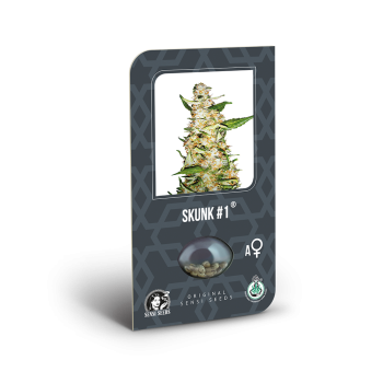 Sensi Seeds - Skunk 1 Auto x10