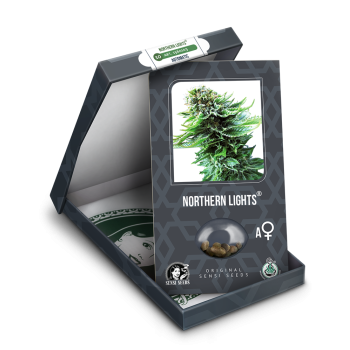 Sensi Seeds - Northern Lights Auto x3