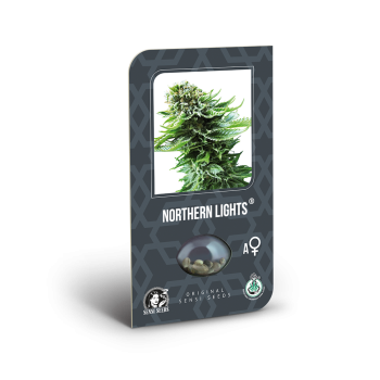 Sensi Seeds - Northern Lights Auto x3