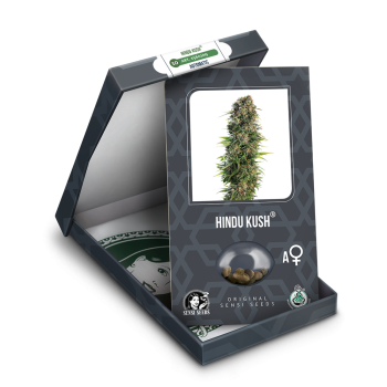 Sensi Seeds - Hindu Kush Auto x3