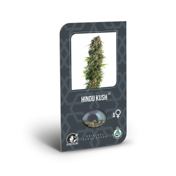 Sensi Seeds - Hindu Kush Auto x3