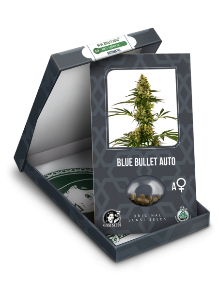 Sensi Seeds - Blue Bullet Auto x3