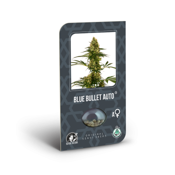 Sensi Seeds - Blue Bullet Auto x3