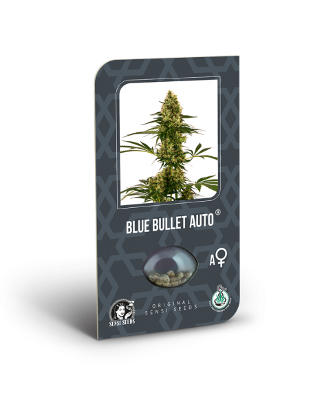 Sensi Seeds - Blue Bullet Auto x3