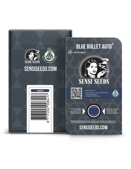 Sensi Seeds - Blue Bullet Auto x3