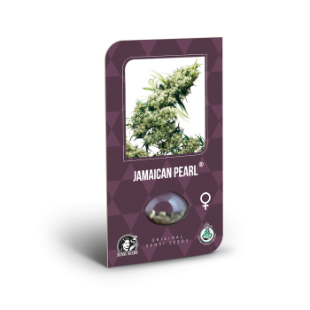 Sensi Seeds - Jamaican Pearl Fem x3