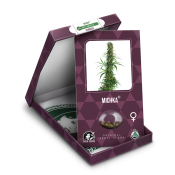 Sensi Seeds - Michka Fem x3