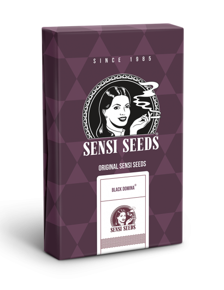 Sensi Seeds - Black Domina Fem x3