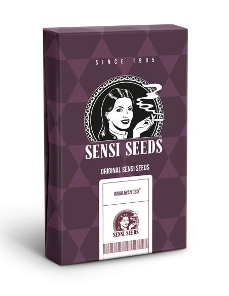 Sensi Seeds - Himalayan CBD Fem x3