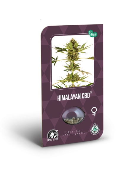 Sensi Seeds - Himalayan CBD Fem x3