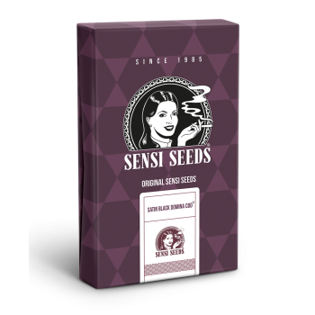 Sensi Seeds - Satin Black Domina CBD Fem x3