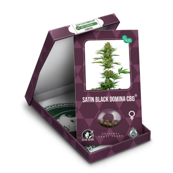 Sensi Seeds - Satin Black Domina CBD Fem x3