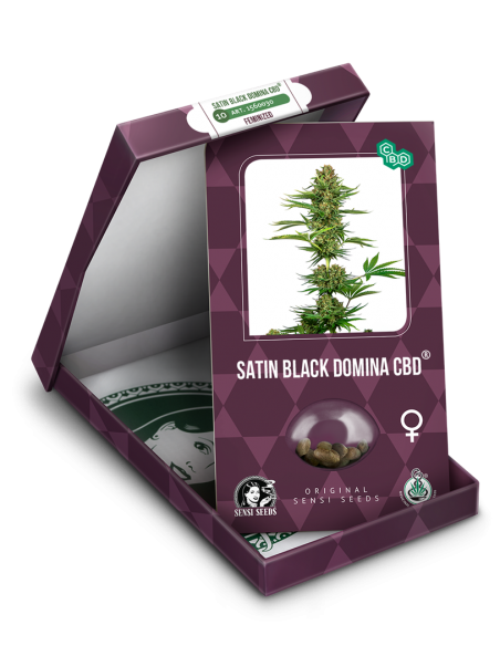 Sensi Seeds - Satin Black Domina CBD Fem x3