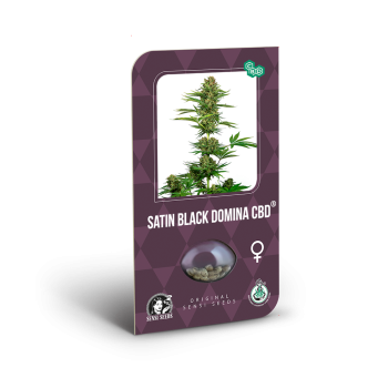 Sensi Seeds - Satin Black Domina CBD Fem x3