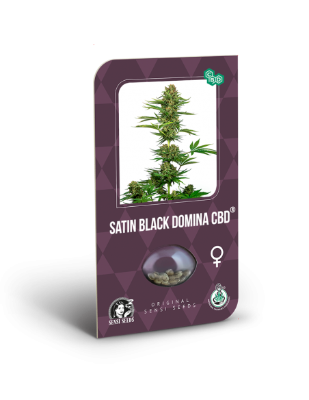 Sensi Seeds - Satin Black Domina CBD Fem x3