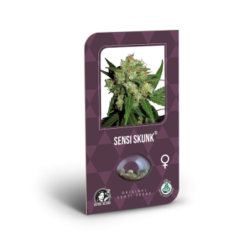 Sensi Skunk X3 Sensi Seeds