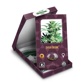 Shiva Skunk X3 Sensi Seeds