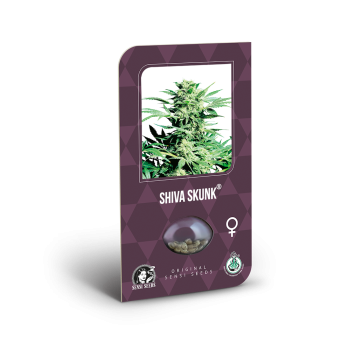 Shiva Skunk X3 Sensi Seeds