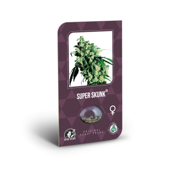 Super Skunk X3 Sensi Seeds