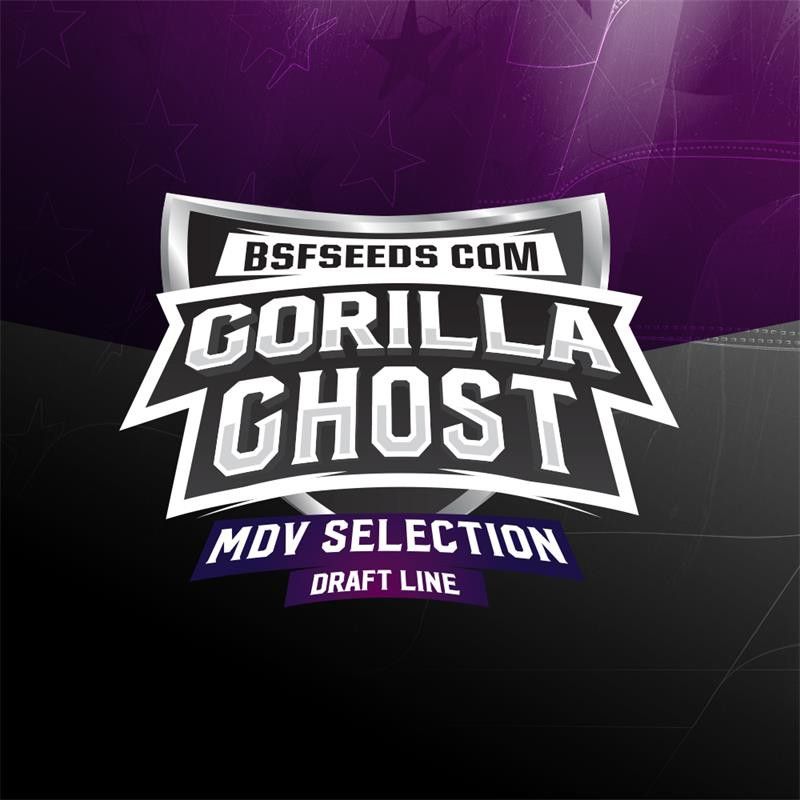 Gorilla Ghost X2 BSF Seeds