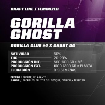Gorilla Ghost X2 BSF Seeds