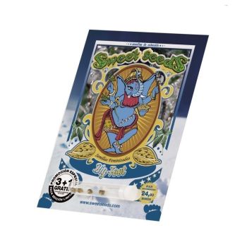 Sweet Seeds Big Foot X5+2