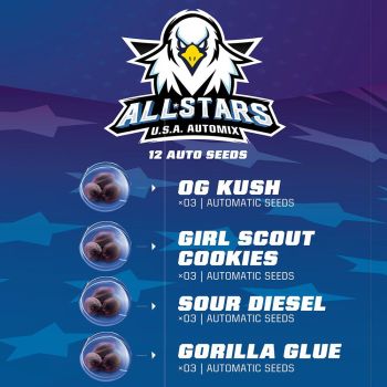 All Stars Usa Automix X12- Bsf Seeds