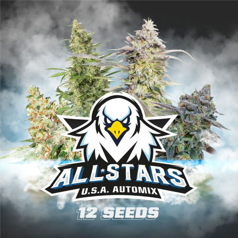 All Stars Usa Automix X12- Bsf Seeds