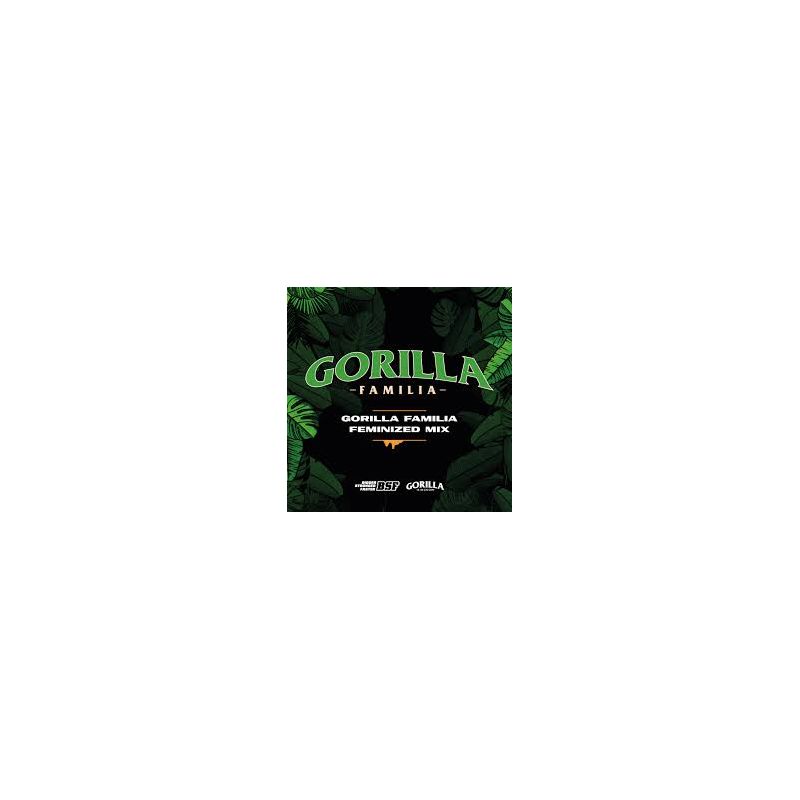 Gorilla Familia Feminized Mix