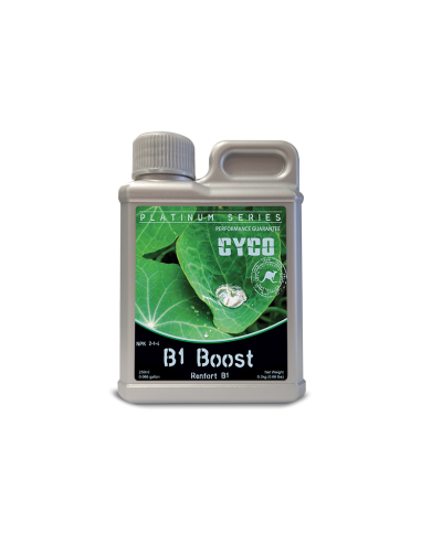 CYCO B1 BOOST 250ML