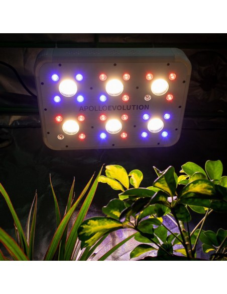 DELIGHT APOLLO EVOLUTION LED 6 COB/SMD 180W