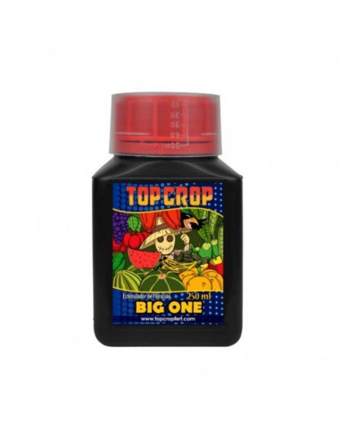 Top Crop Big One 250Ml