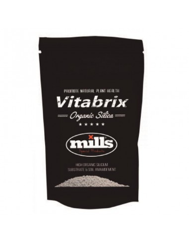 Vitabrix (Silicio) 300 gr - Mills