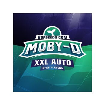 Moby-D Xxl Auto X12 - Bsf Seeds