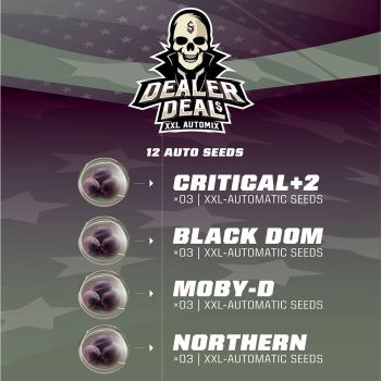 Dealer Deal Xxl Automix X12 - Bsf Seeds