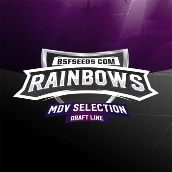 Rainbows X2 - Bsf Seeds
