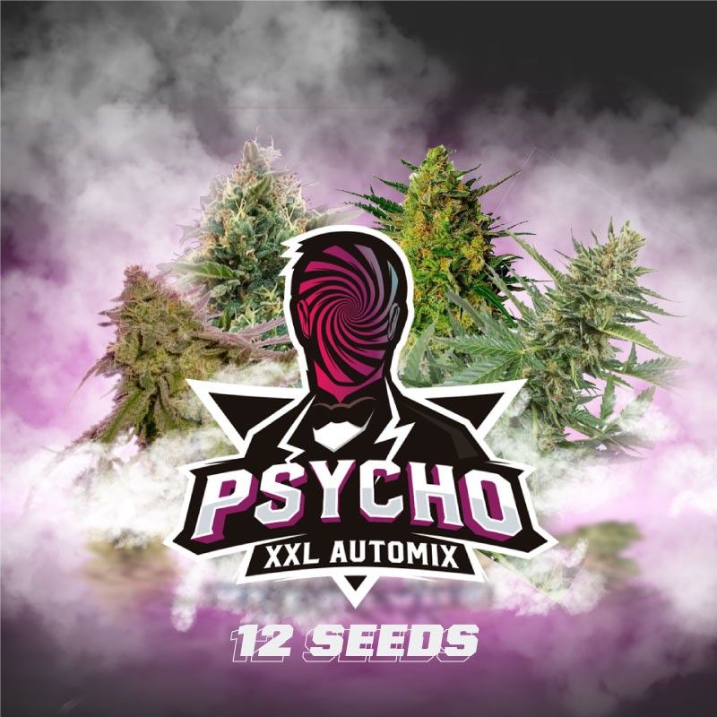 Psycho XXL Automix X12 - BSF Seeds