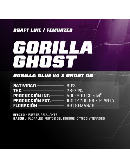 Gorilla Ghost X7 - Bsf Seeds
