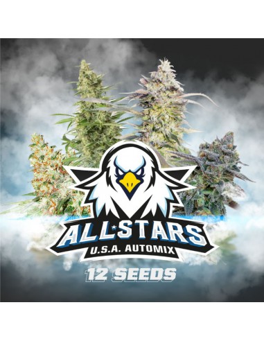 All Stars Usa Automix X12- Bsf Seeds