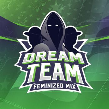 Dream Team Feminized Mix X12 - Bsf Seeds