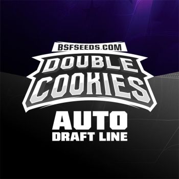 Auto Double Cookies X7 - Bsf Seeds