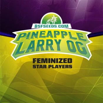 Star Player Pineapple Larry Og X7 - Bsf Seeds