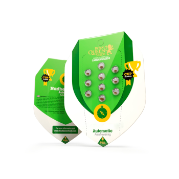 ROYAL QUEEN SEEDS BUBBLE KUSH AUTO (1UD)