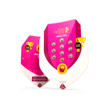 Legendary Punch X1 - Royal Queen Seeds