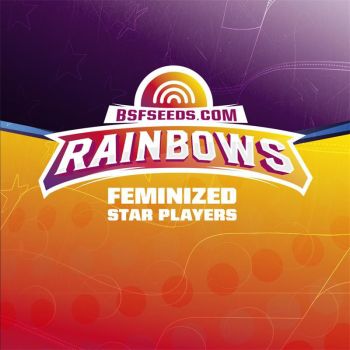 Star Player Rainbows X7 - Bsf Seeds
