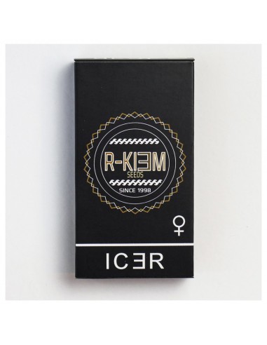 R-KIEM ICER (5uds)