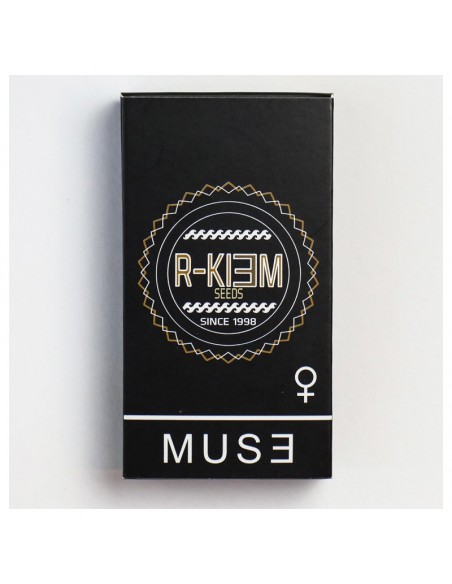 R-KIEM MUSE (10uds)